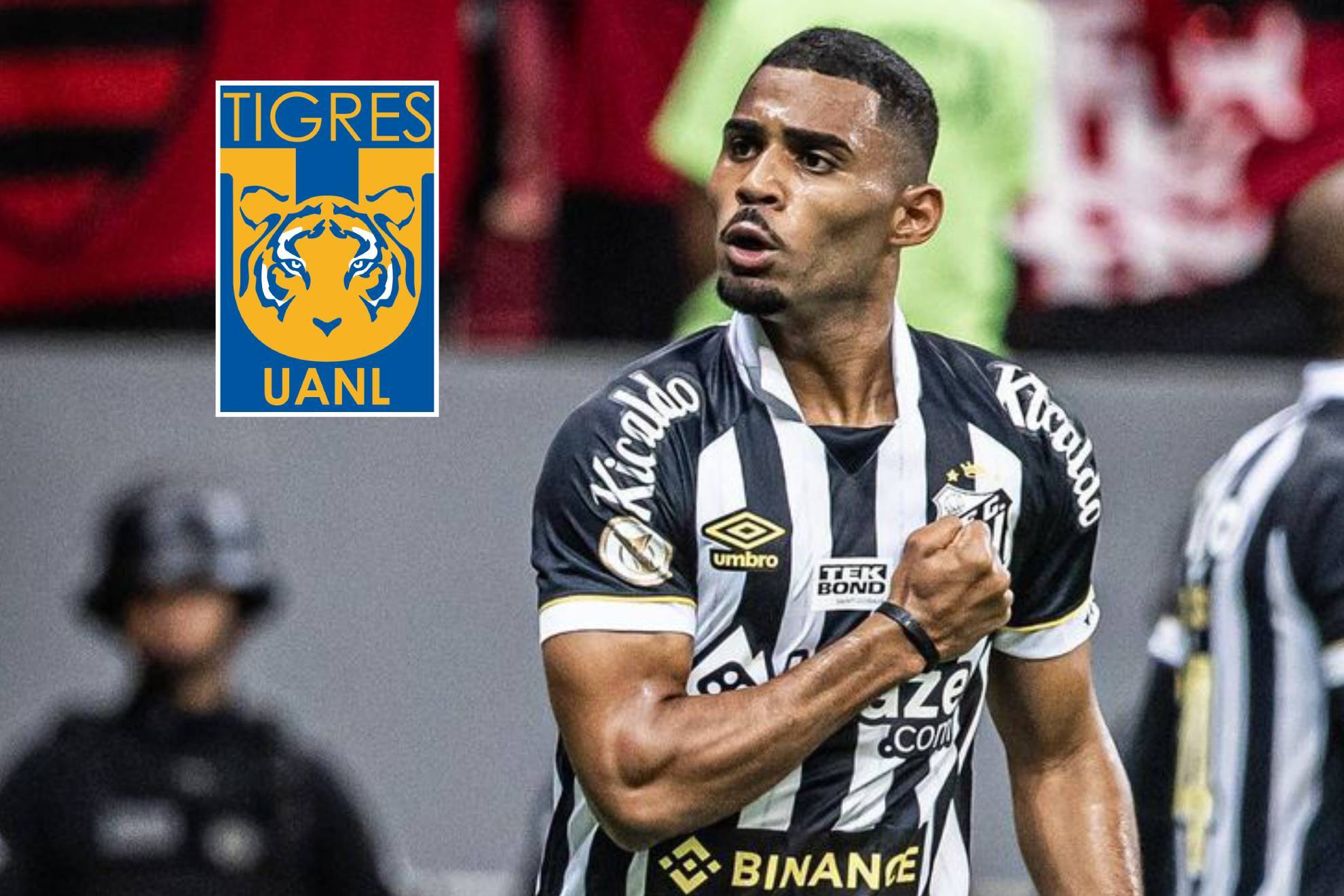 Noticias Club Tigres Uanl Hoy Marca M Xico