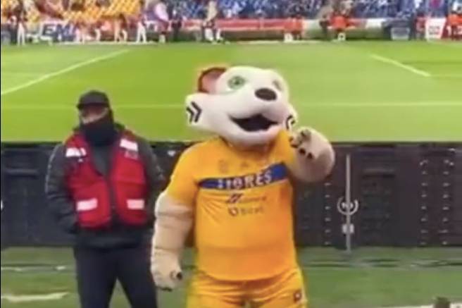 El video captó a la mascota de Tigres dirigiéndose a la tribuna