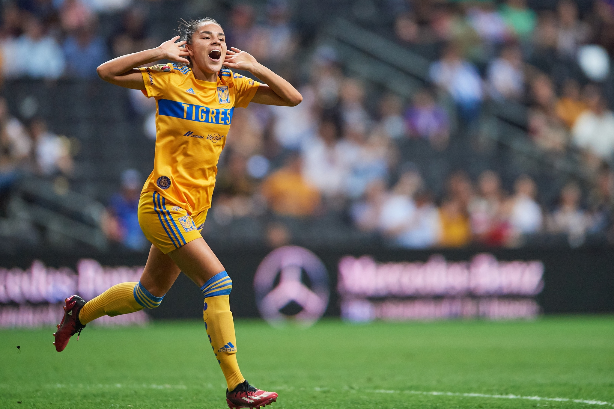 Top 39+ imagen tigres vs rayados femenil minuto a minuto Viaterra.mx