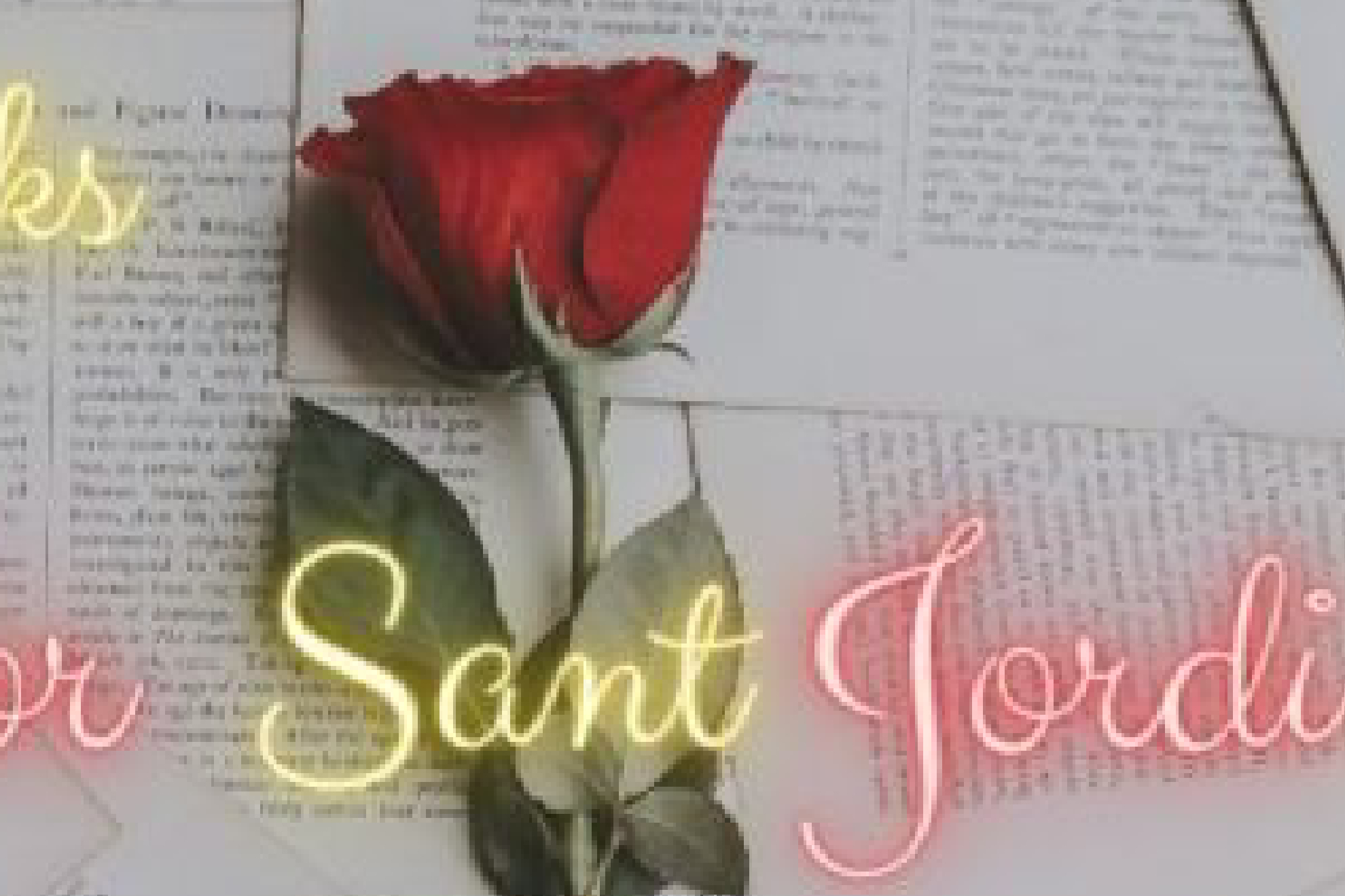 La tradición y leyenda dicen que 'rosas y libros' para el día de Saint Jordi