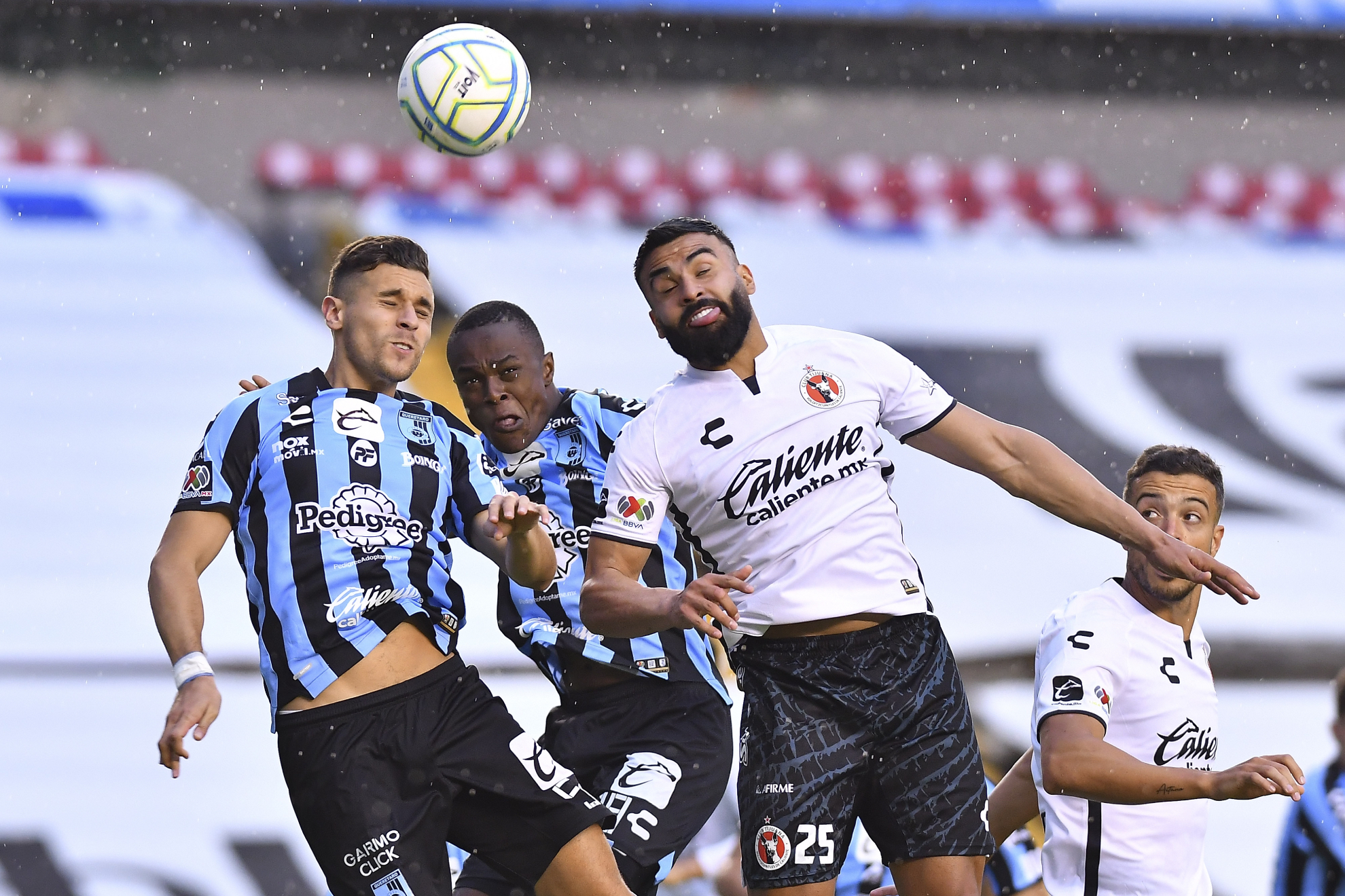 Liga MX 2023: Tijuana vs Querétaro: dónde ver y horario juego de Xolos Liga  MX 2023 - Jornada 14 | MARCA México