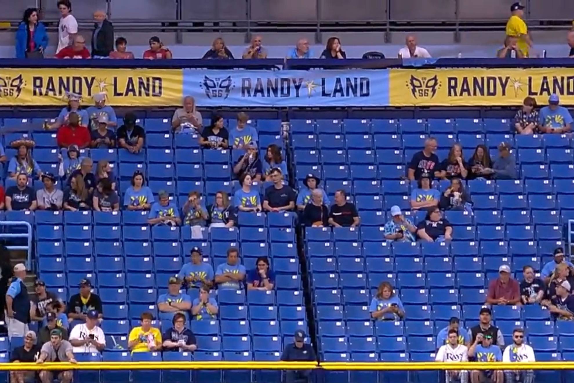 Randy Land  Tampa Bay Rays