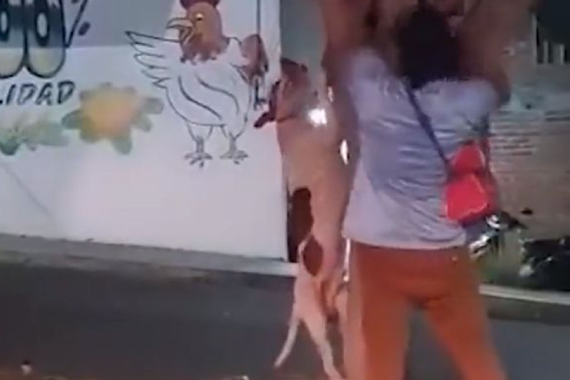 Michoacán: Indigna este video de hombre ahorcando a un perro | MARCA México