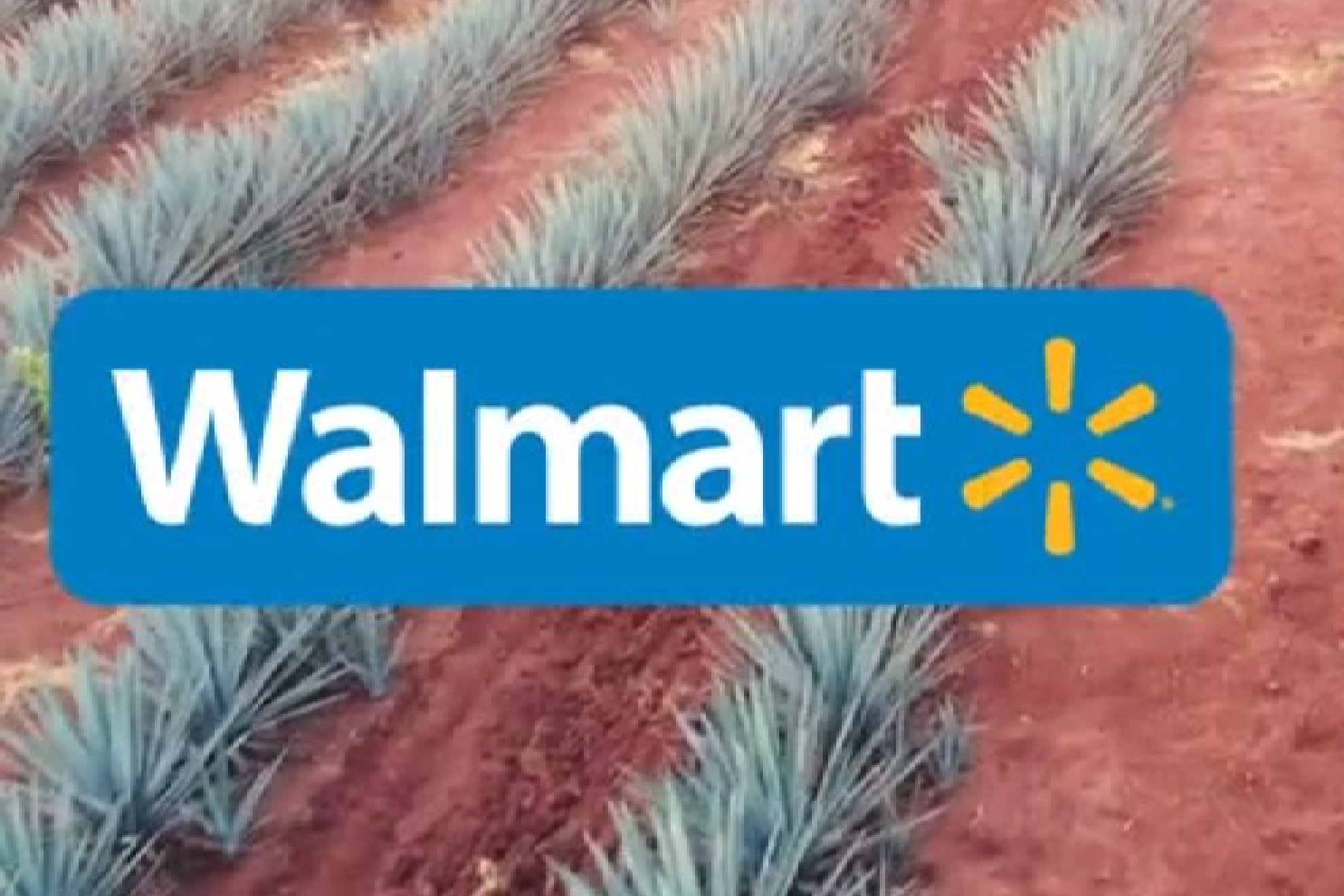 Fruta Congelada en Walmart  Tu tienda en línea México