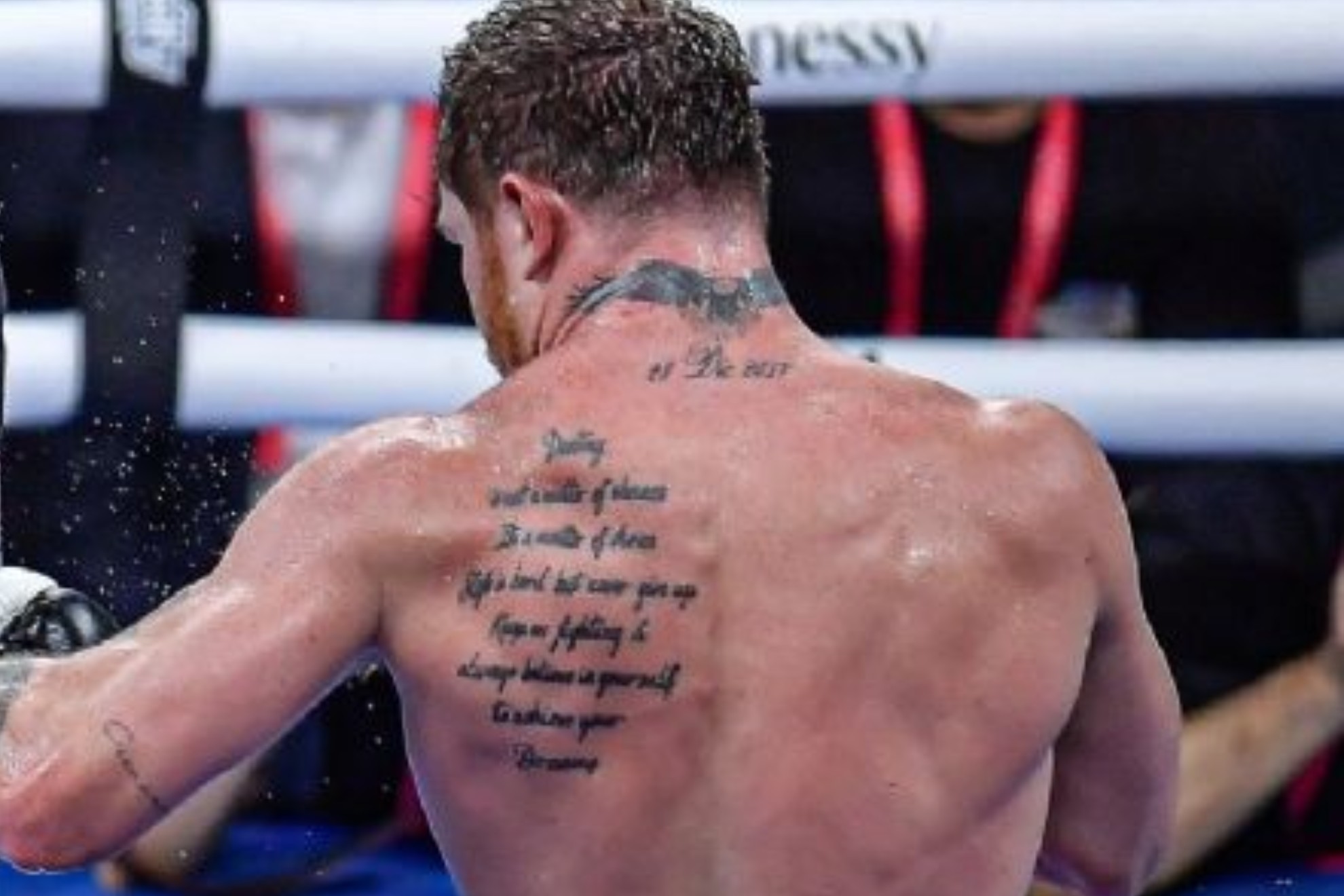 Qu significa el tatuaje del Canelo lvarez en la espalda?