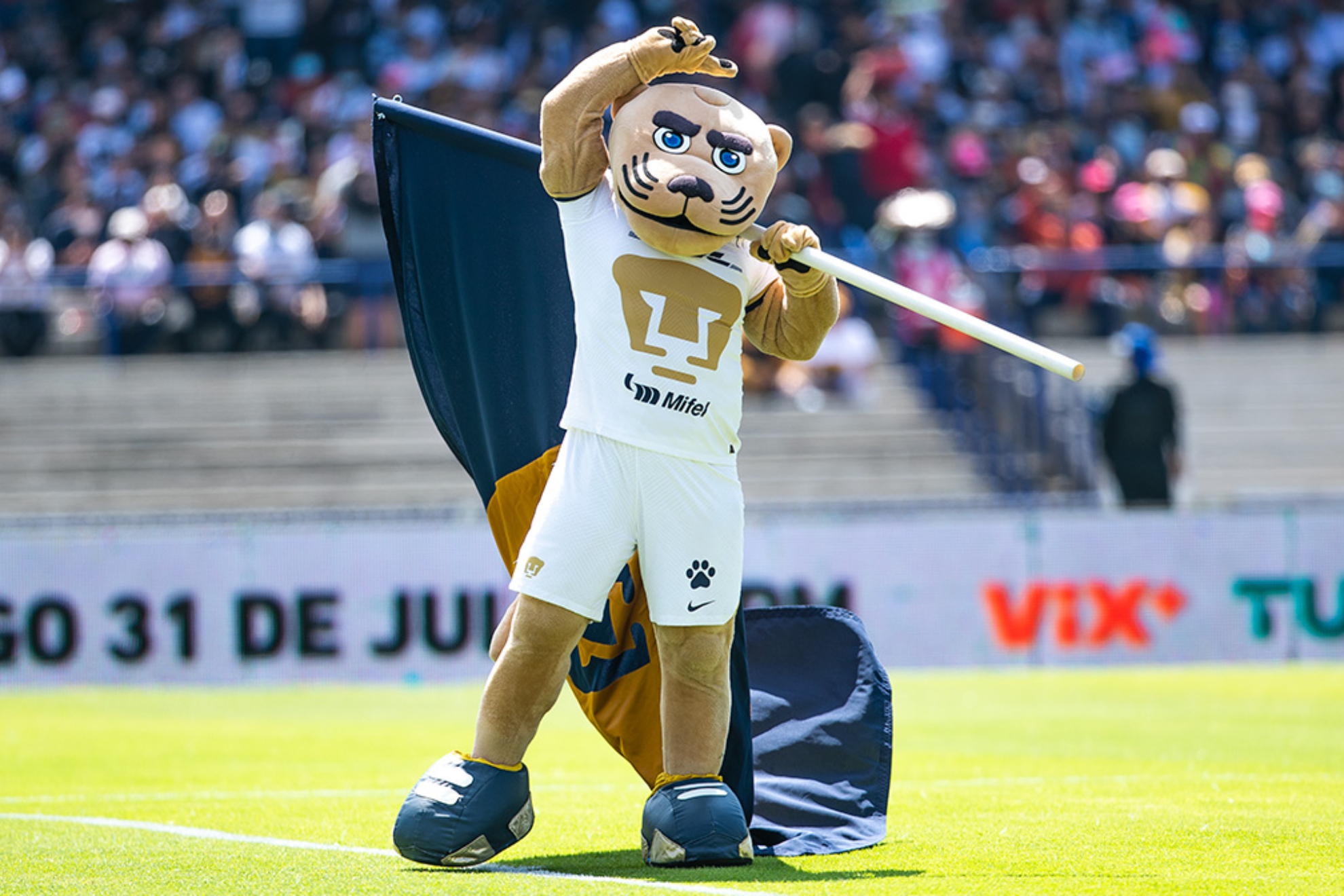 Noticias Pumas UNAM Hoy MARCA M xico