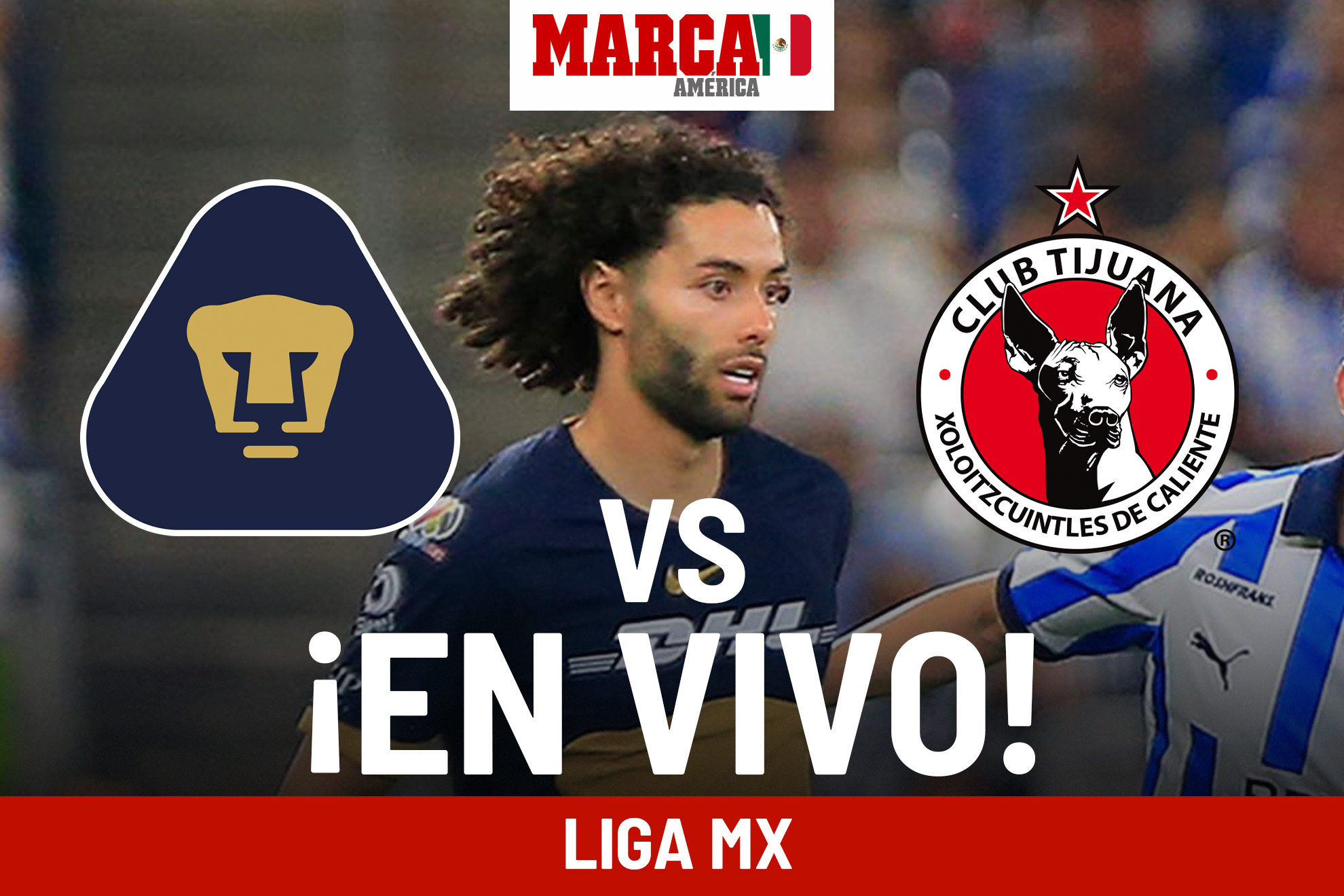 Juego de Pumas vs Tijuana hoy EN VIVO Online. Partido de Liga MX 2024 J11