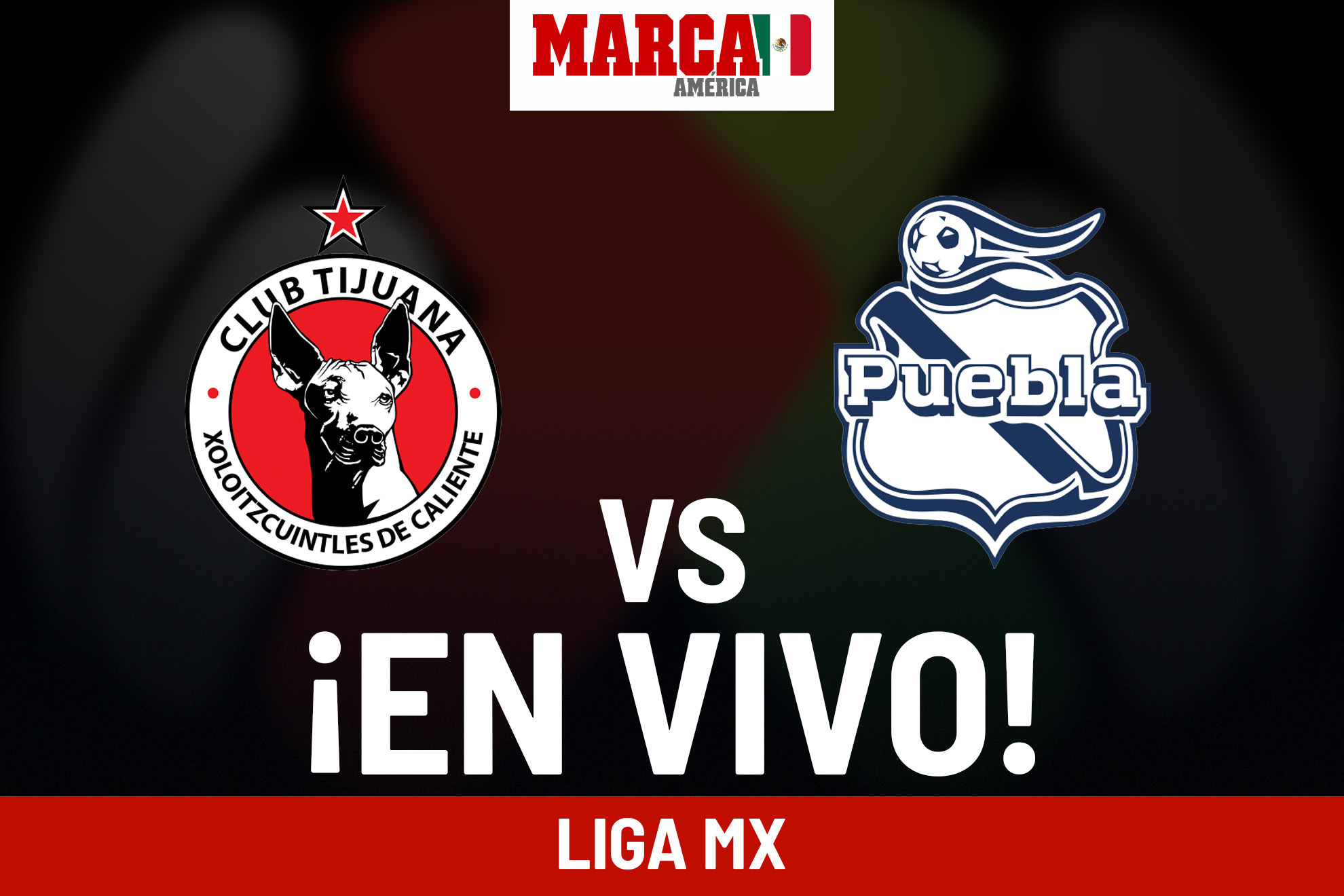 Tijuana vs Puebla EN VIVO. Juego Xolos hoy - Liga MX 2024