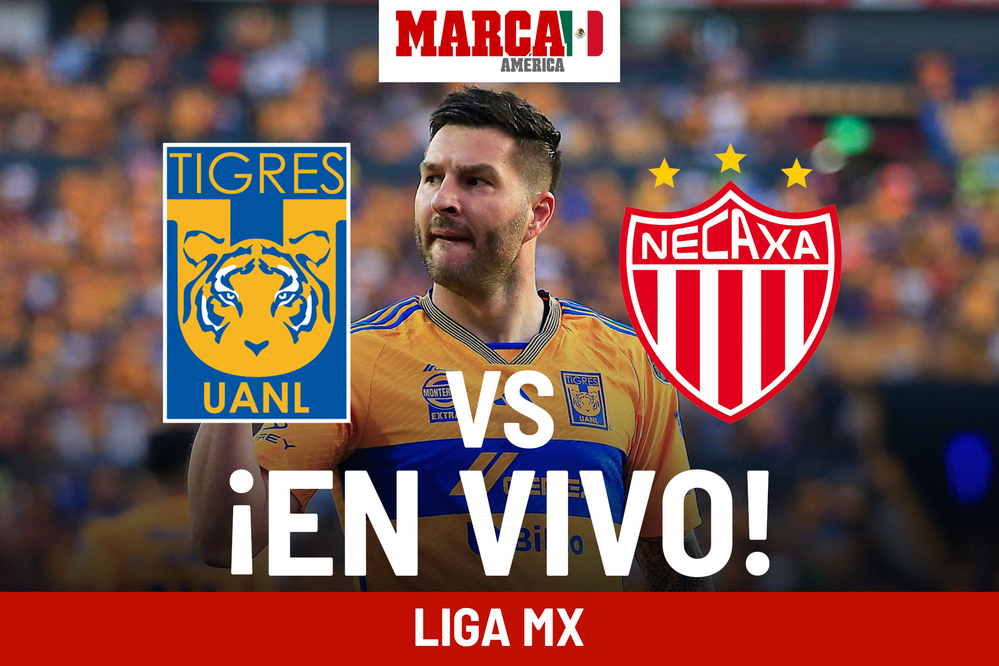 Juego Tigres vs Necaxa hoy EN VIVO Online. Partido de Liga MX 2024