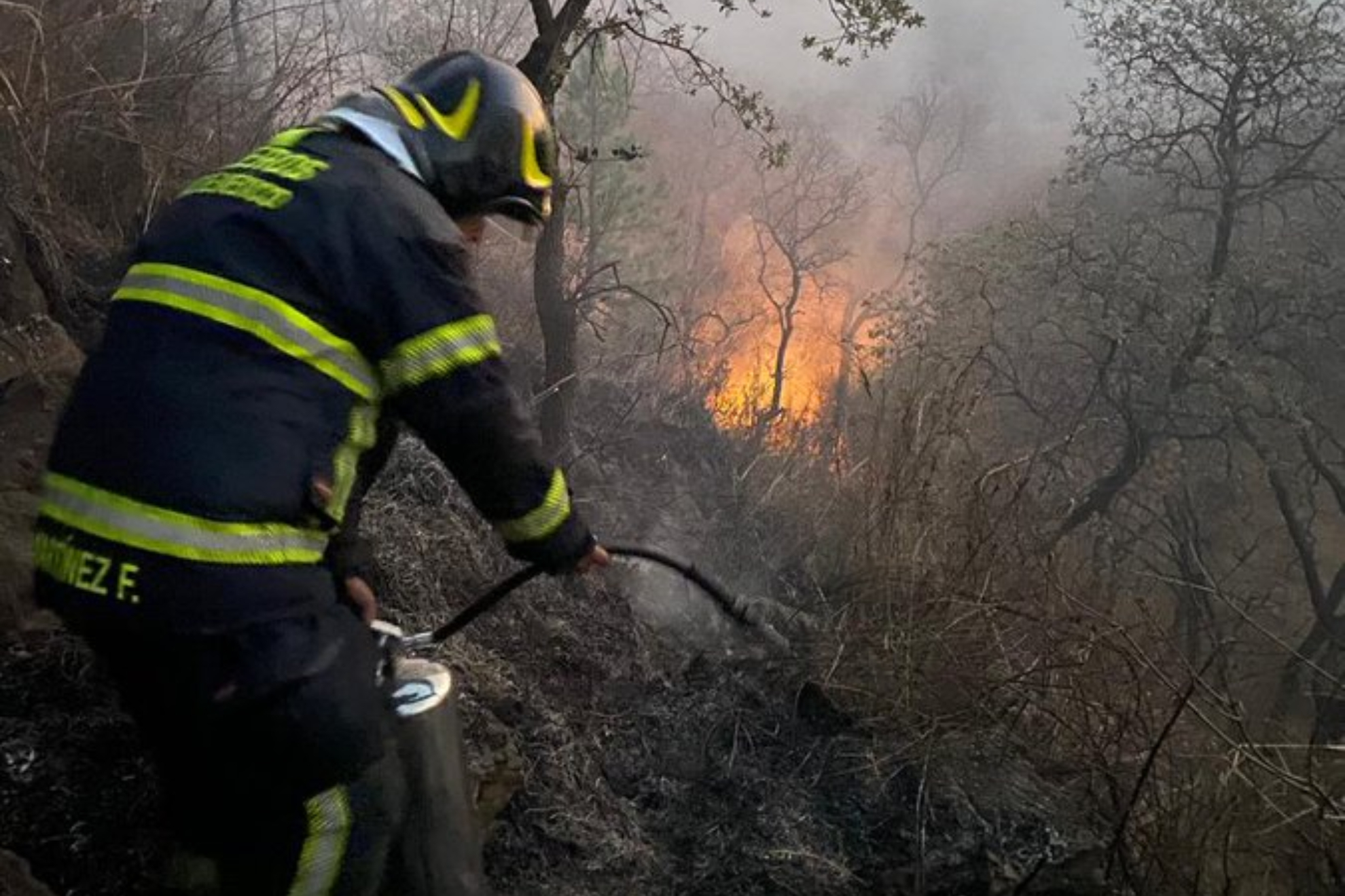 Los bomberos atendieron dos incendios en zonas boscosas durante las primeras horas de este martes.