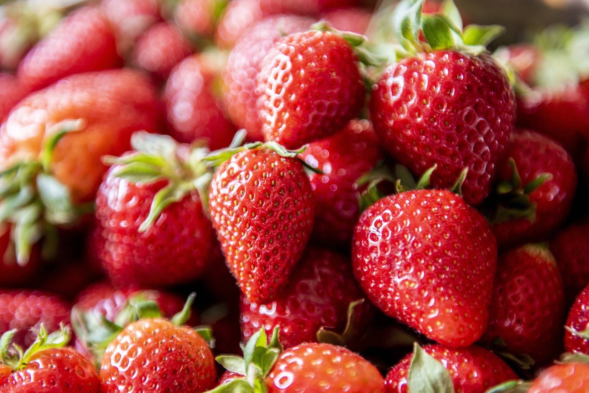 Las fresas entran en las ofertas de Walmart Martes de Frescura
