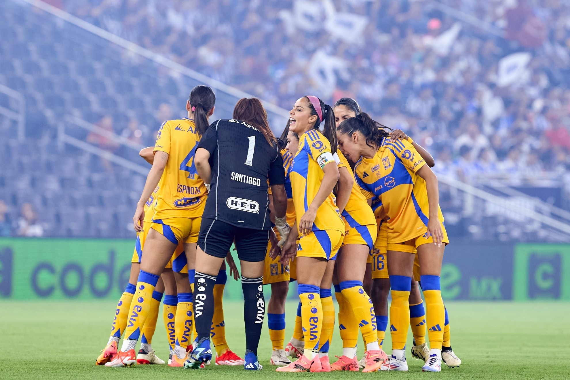 Tigres Femenil - Últimas noticias en MARCA México