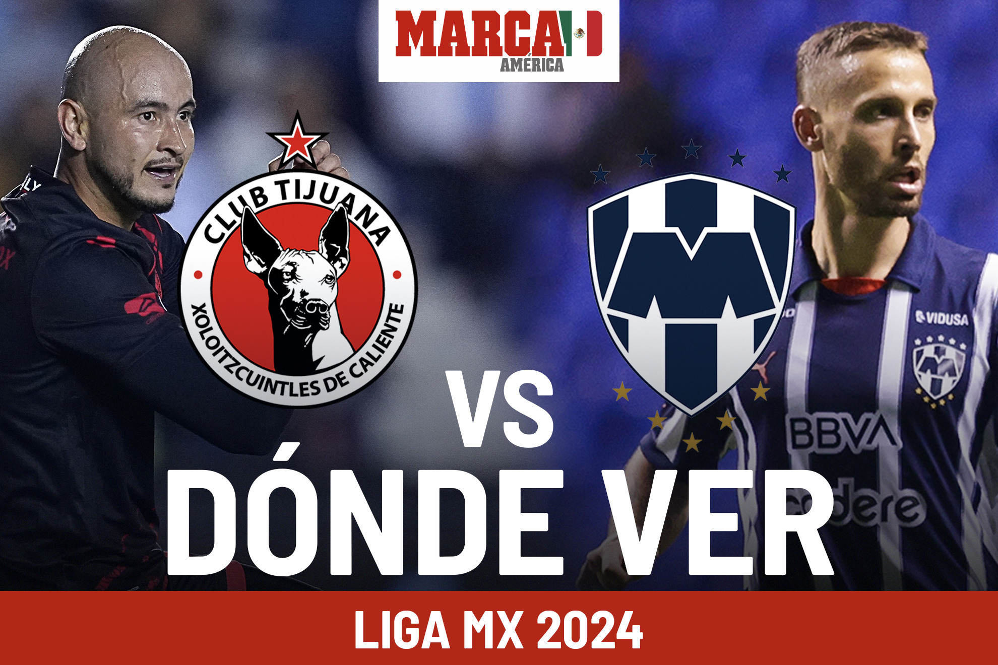 Dnde ver Liga MX HOY