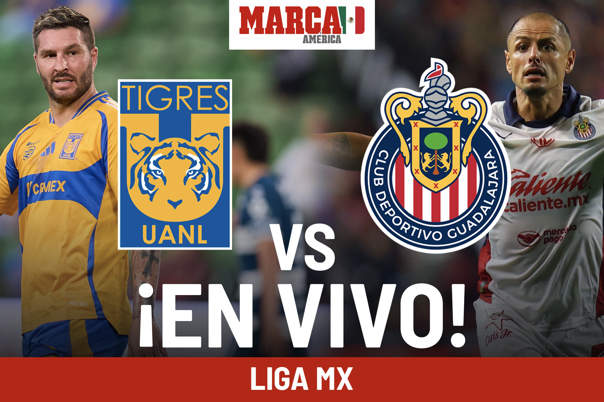 Noticias Club Tigres UANL hoy - MARCA México