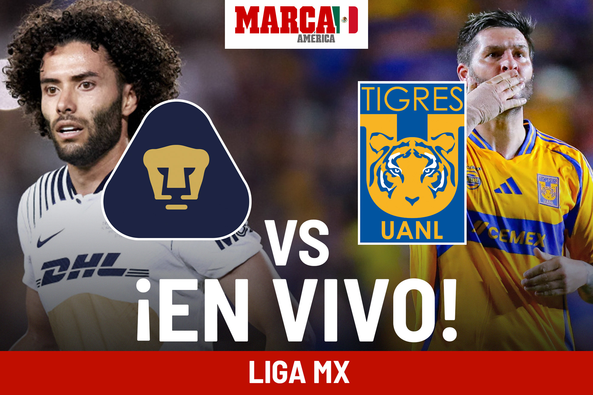 pumas tigres