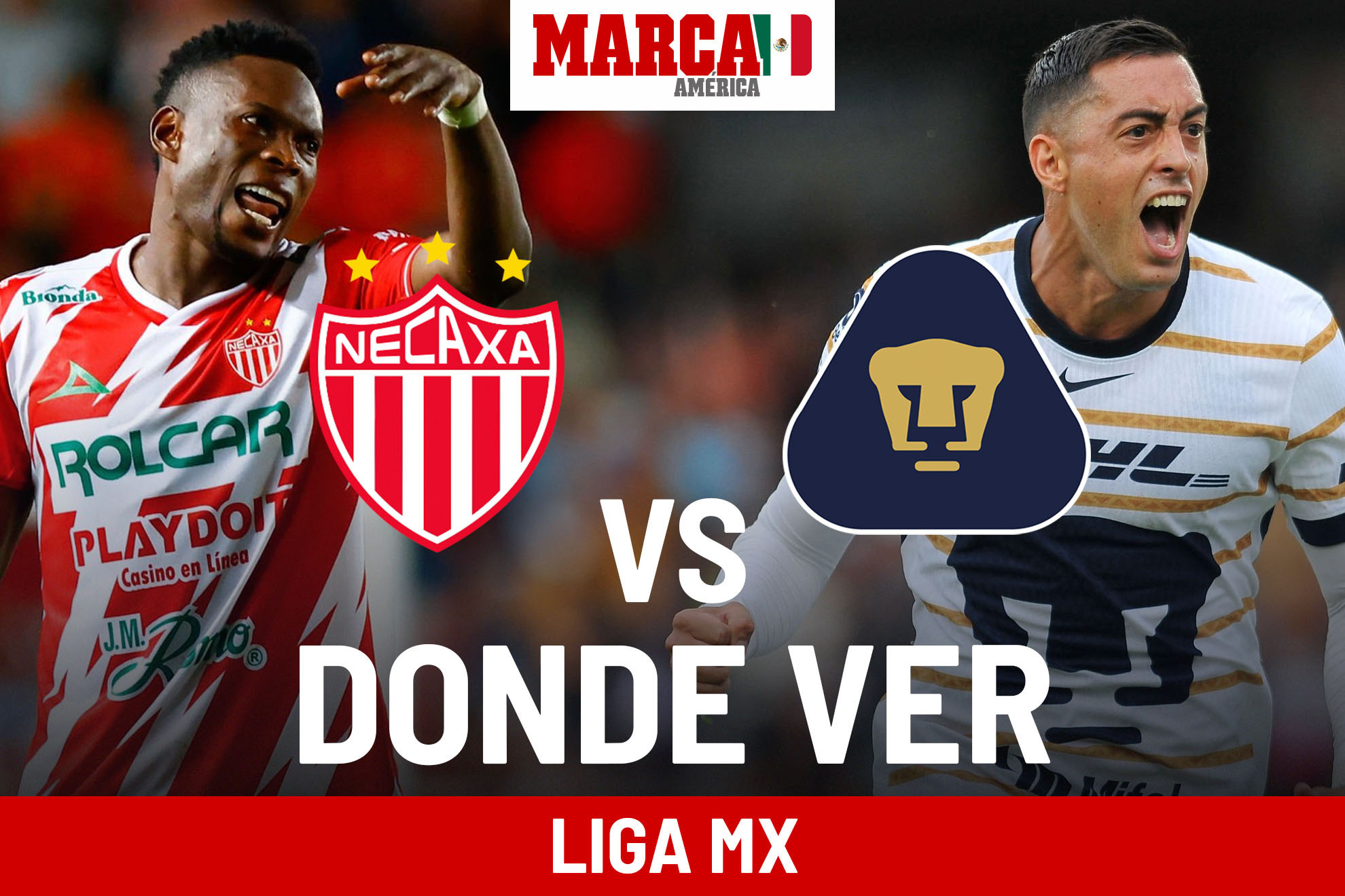 Dnde ver Liga MX HOY