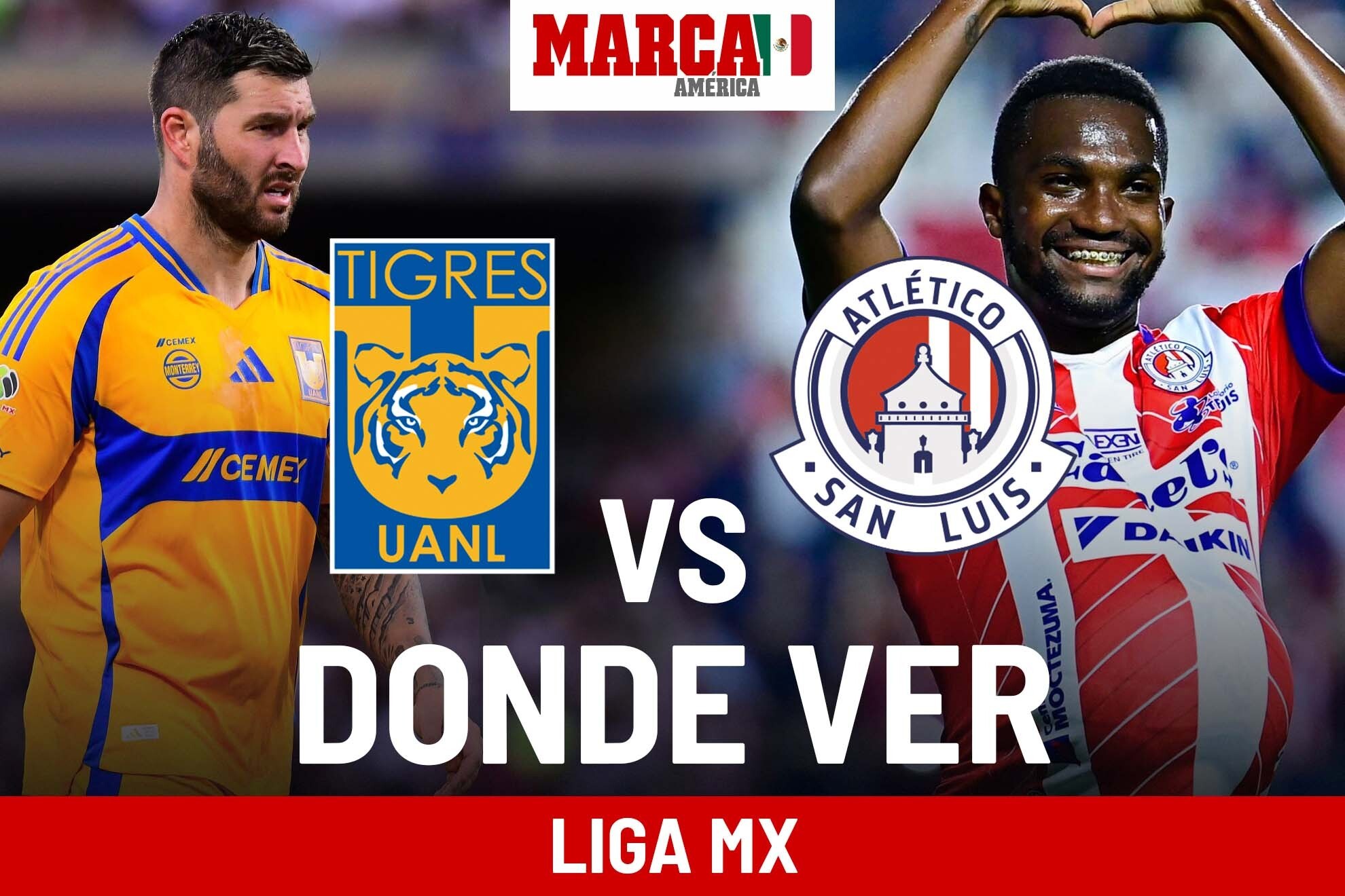 Dnde ver Liga MX HOY