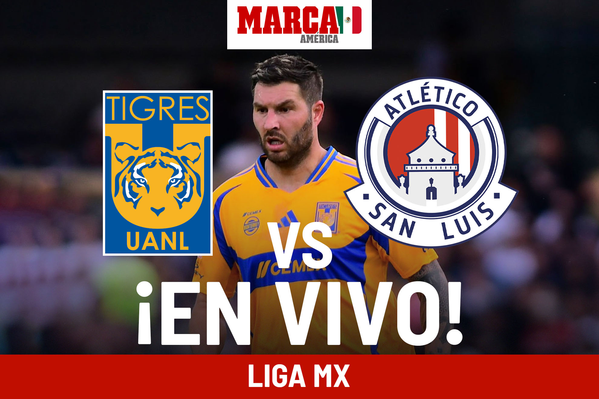 Juego Tigres vs Atlético San Luis today EN VIVO Online. Partido Liga MX 2024