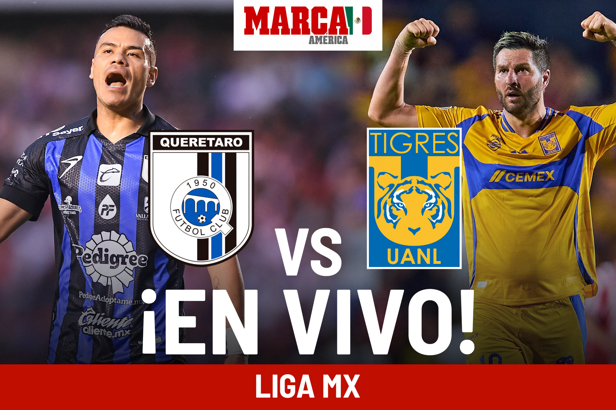 Cunto qued Quertaro vs Tigres? Juego de hoy de Liga MX 2024