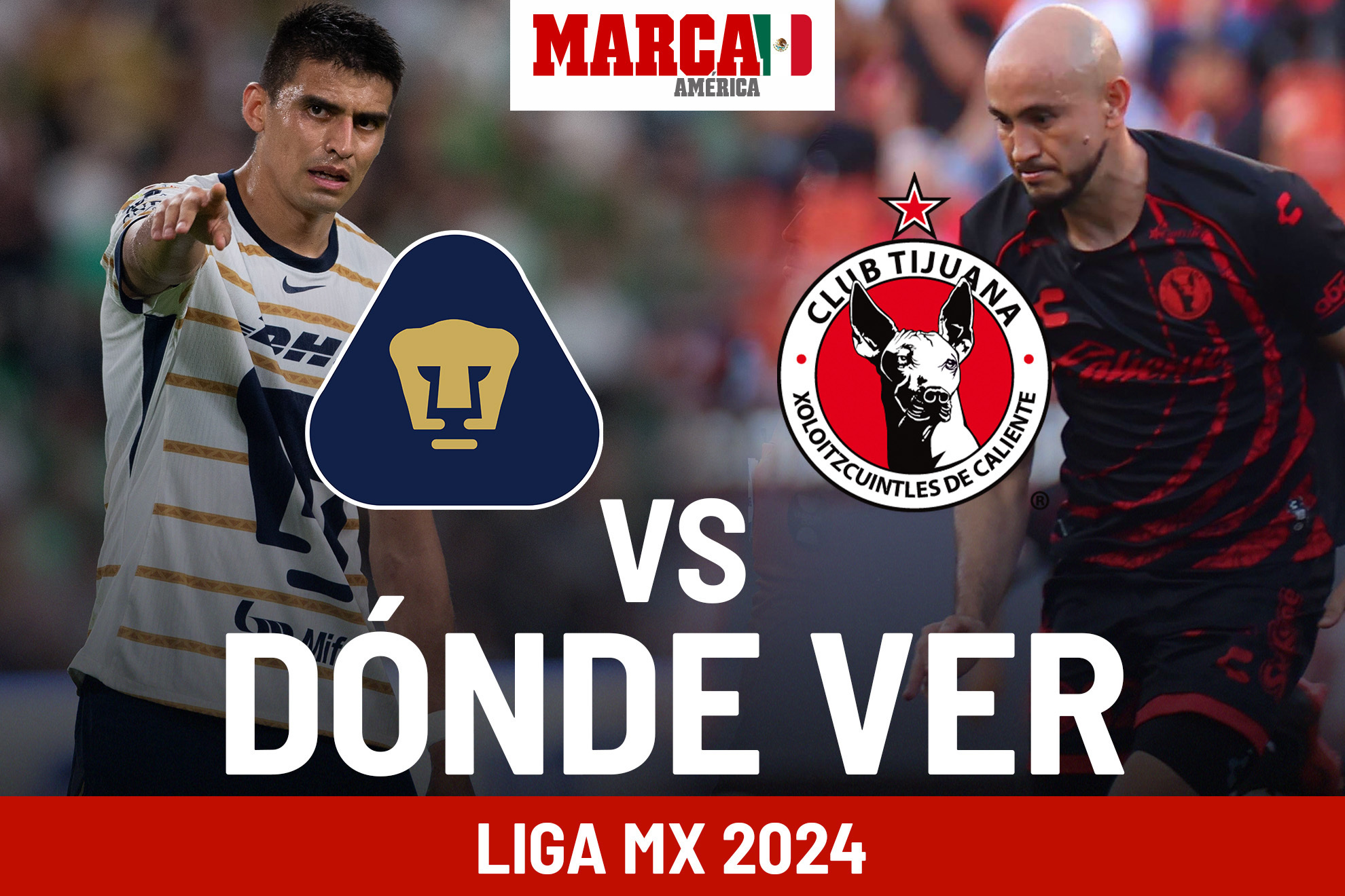 Dnde ver Liga MX 2024 EN VIVO hoy