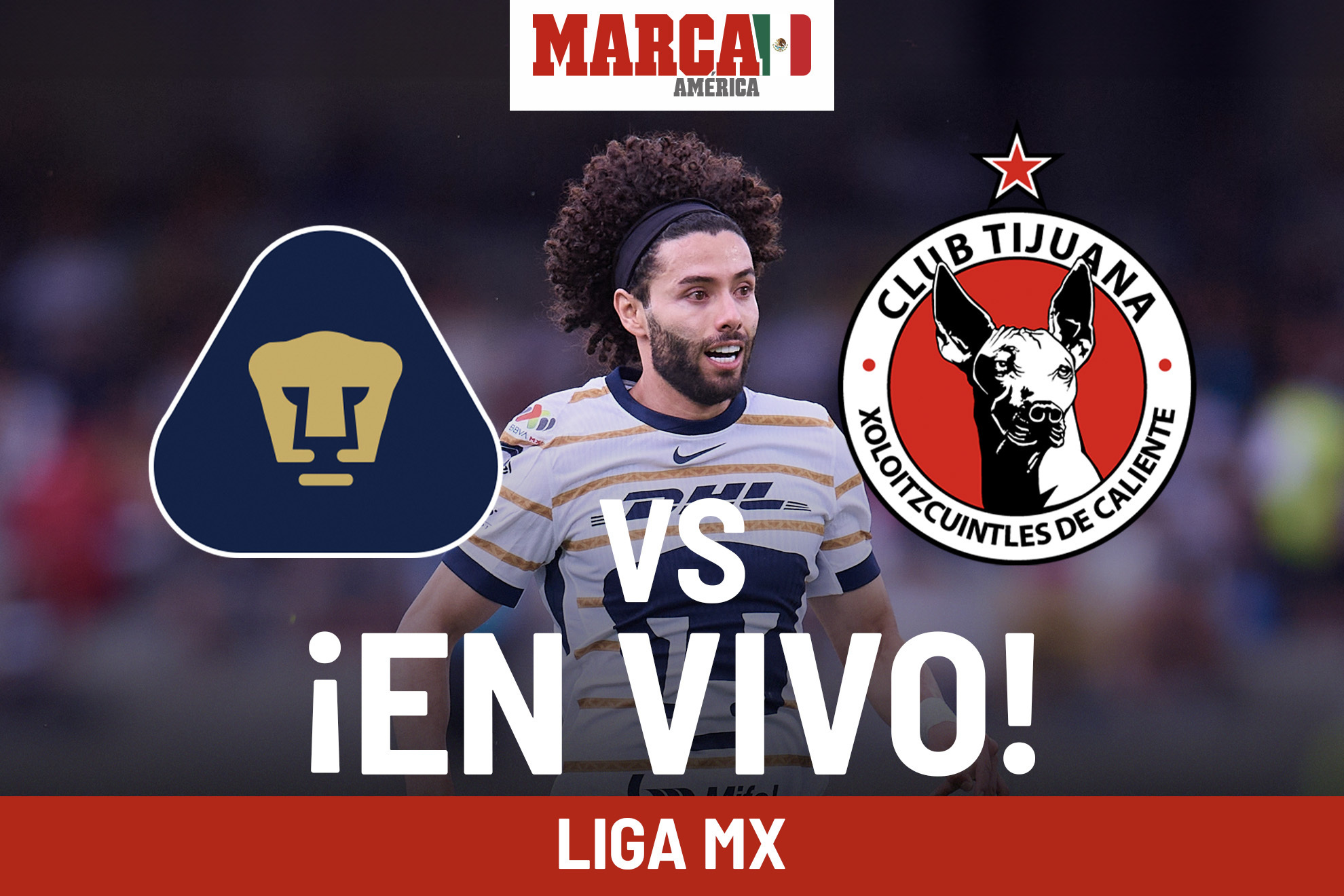 Cmo qued Pumas vs Tijuana? Resultado partido de Liga MX 2024 J9