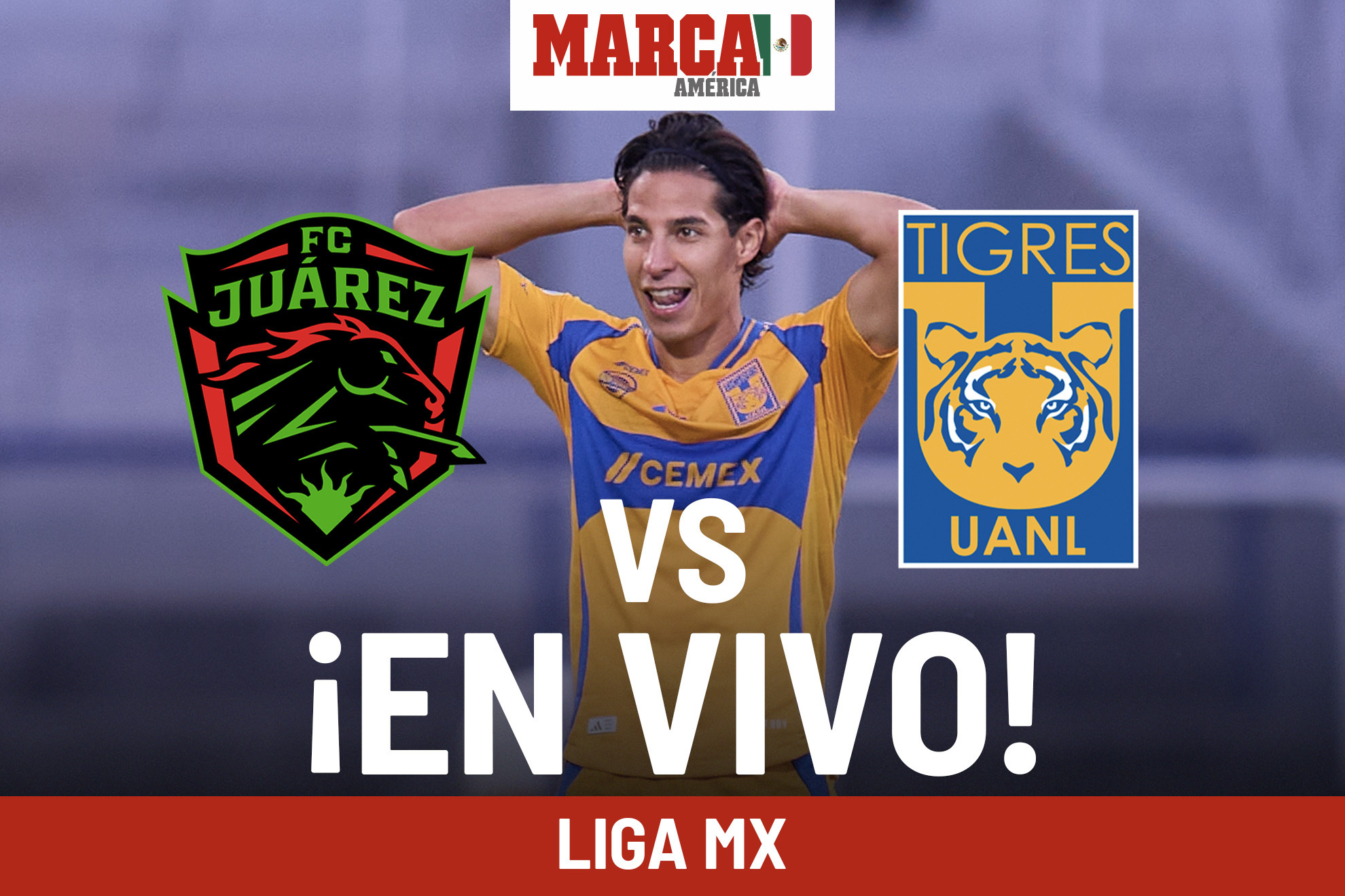 Liga MX 2024: Juárez vs. Tigres EN VIVO. Juego Bravos hoy