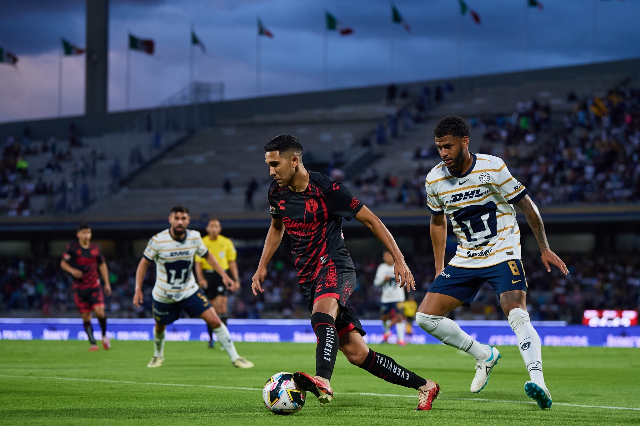 Pumas UNAM - Tijuana: Goles y Resumen Pumas vs. Tijuana: Derrota y  expulsión de Juan Carlos Osorio para Xolos en CU - Liga Mexicana