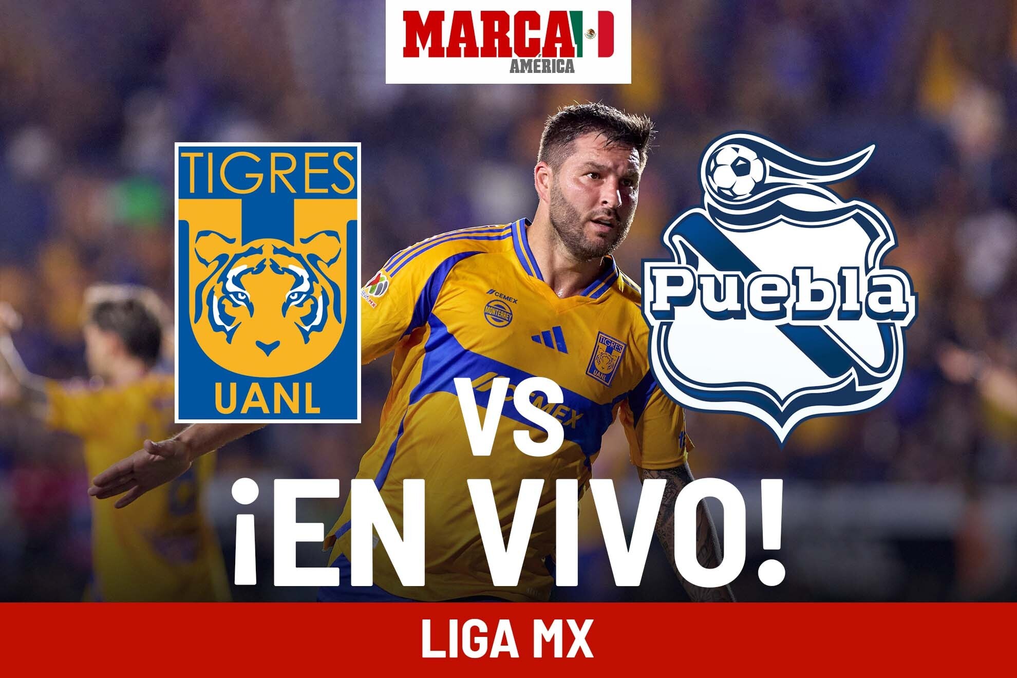 Cmo qued Tigres vs Puebla? Cronologa y resultado juego Liga MX 2024