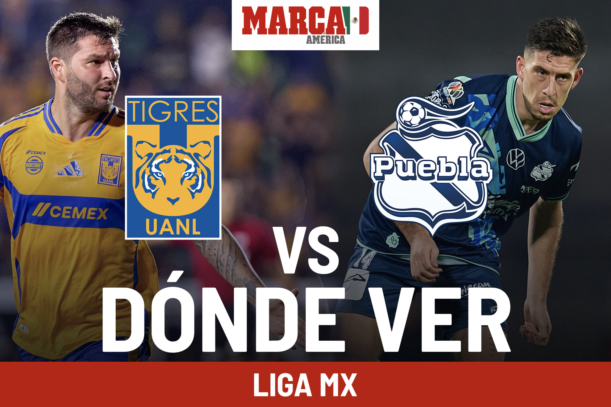 Dnde ver Liga MX 2024 HOY