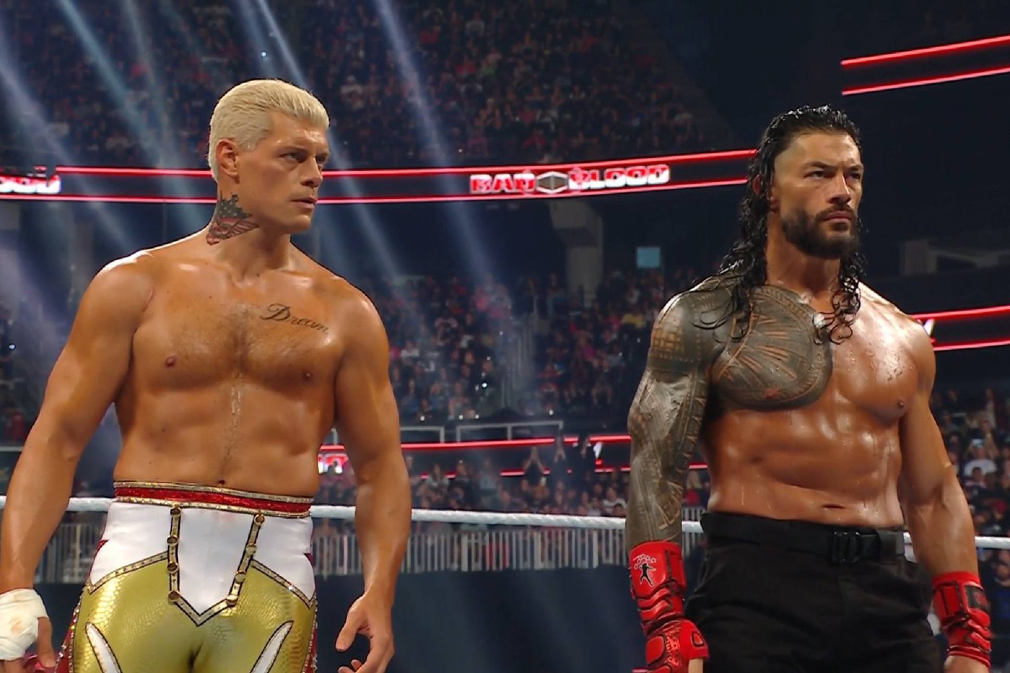 WWE made Bad Blood 2024, starring CM Punk, Liv Morgan, Cody Rhodes and Roman Reigns.