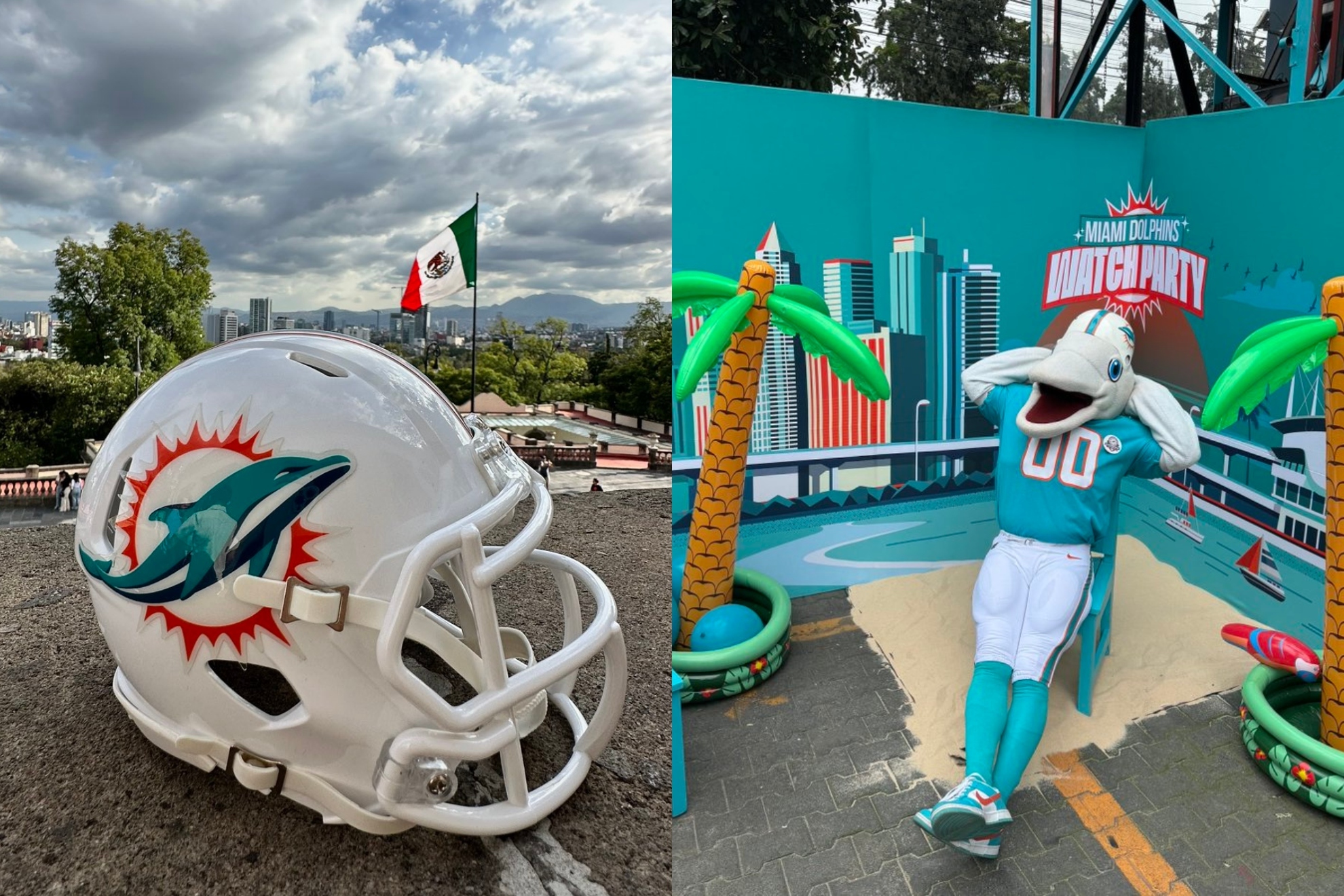 Dolphins Miami