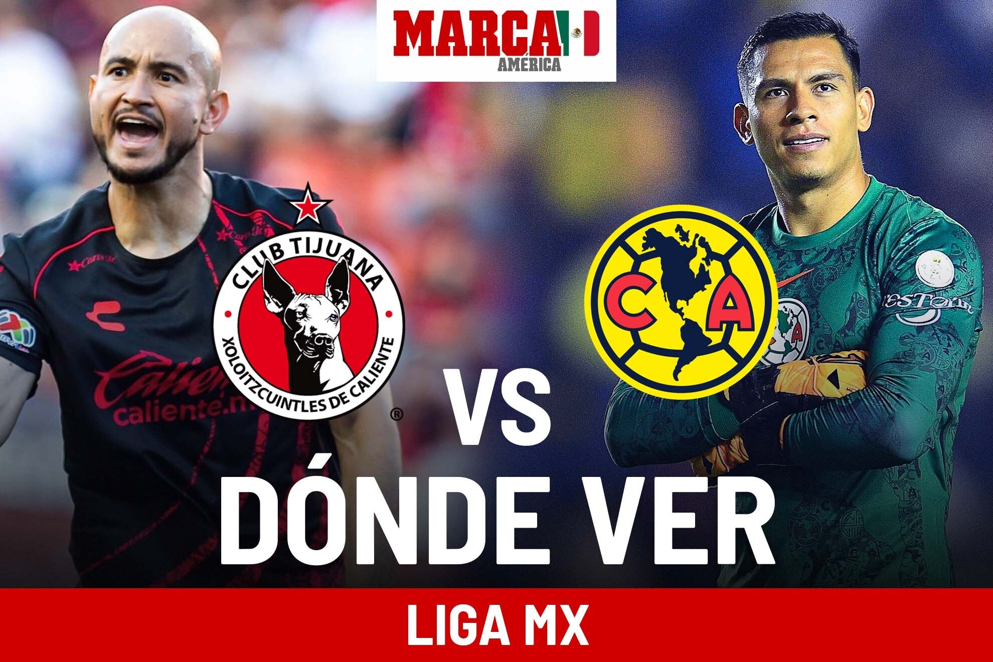 Tijuana y Amrica se vern las caras hoy en partido de la fecha 13 de la Liga MX 2024