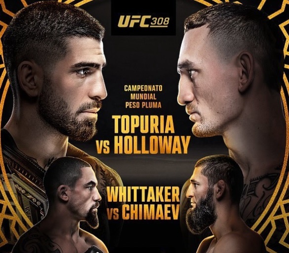 Topuria vs Holloway - Figure 2