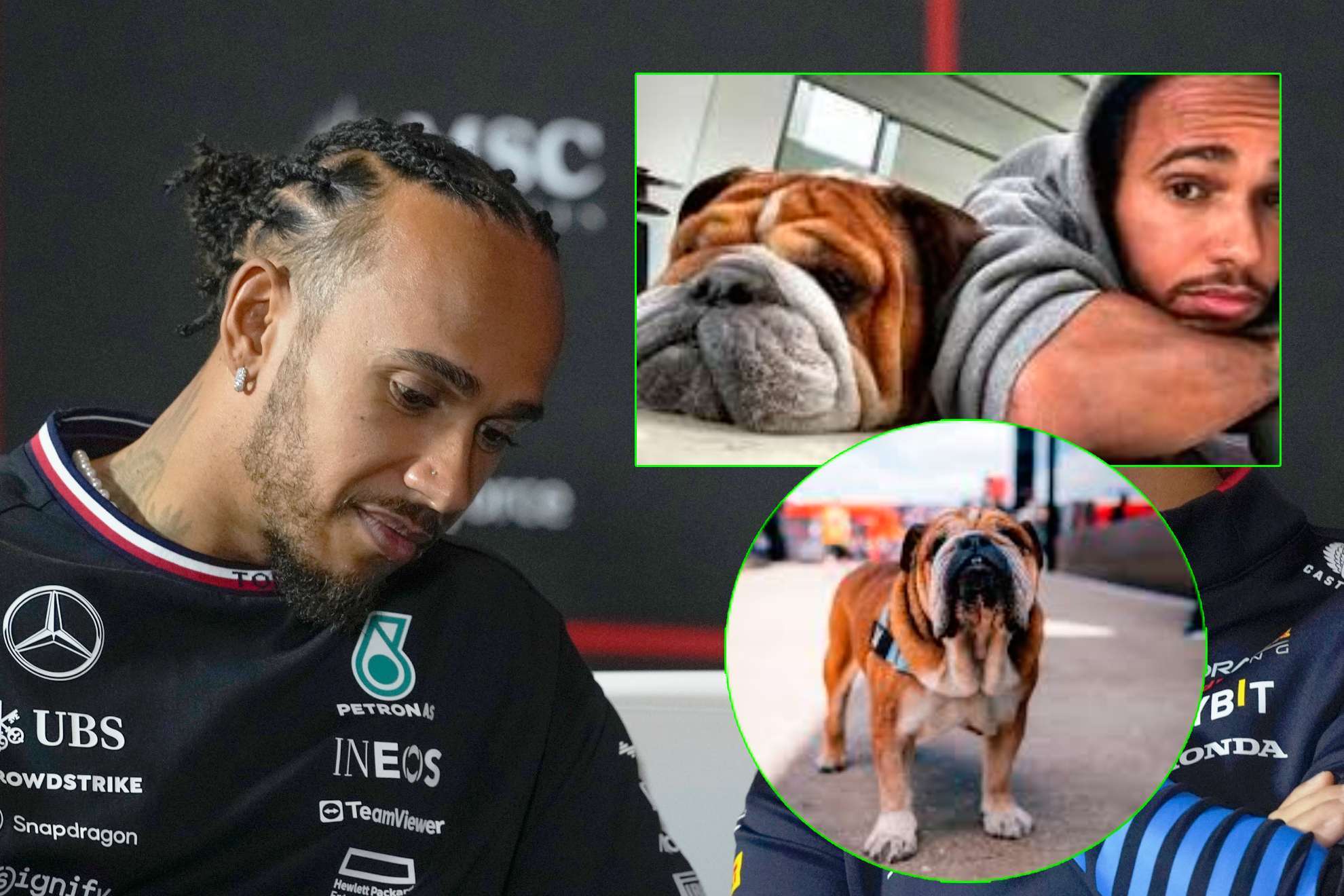 Roscoe, el gran amor de Lewis Hamilton