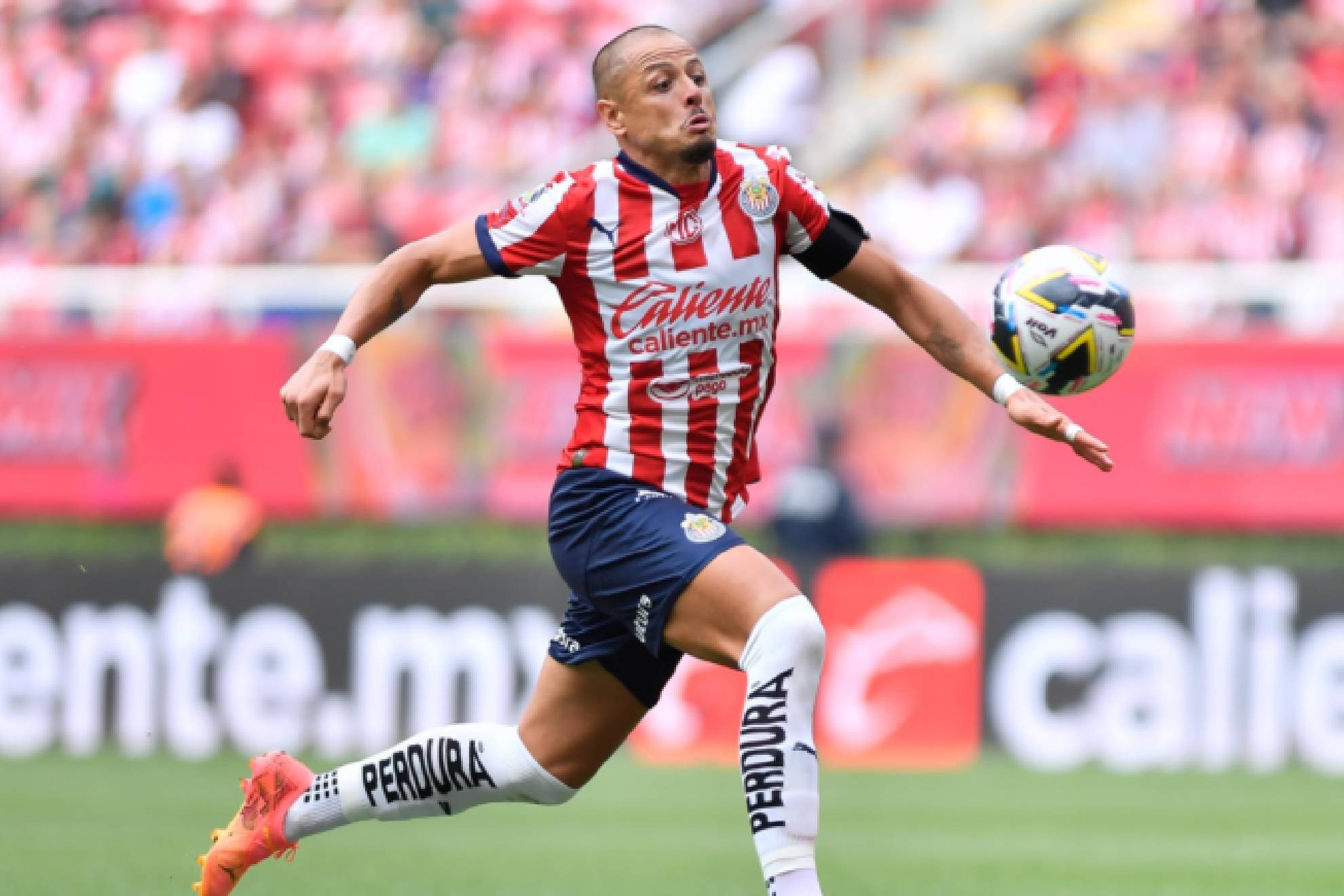 Liga MX 2024: Ramón Ramírez pide nueva oportunidad para que Chicharito ...