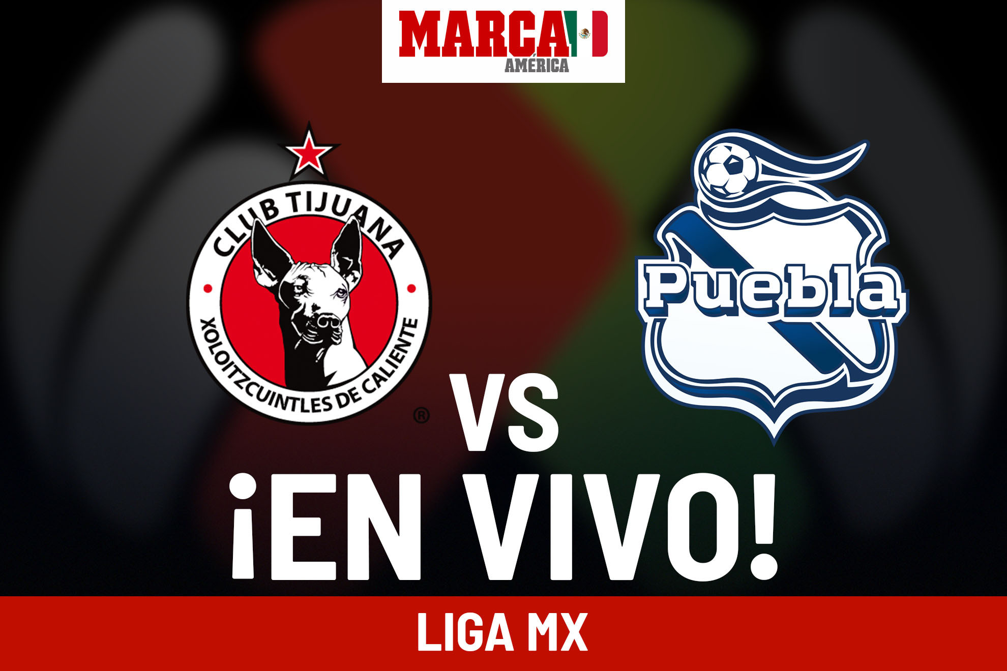 Liga MX 2024 Tijuana vs Puebla EN VIVO. Juego Xolos hoy Liga MX 2024 J17