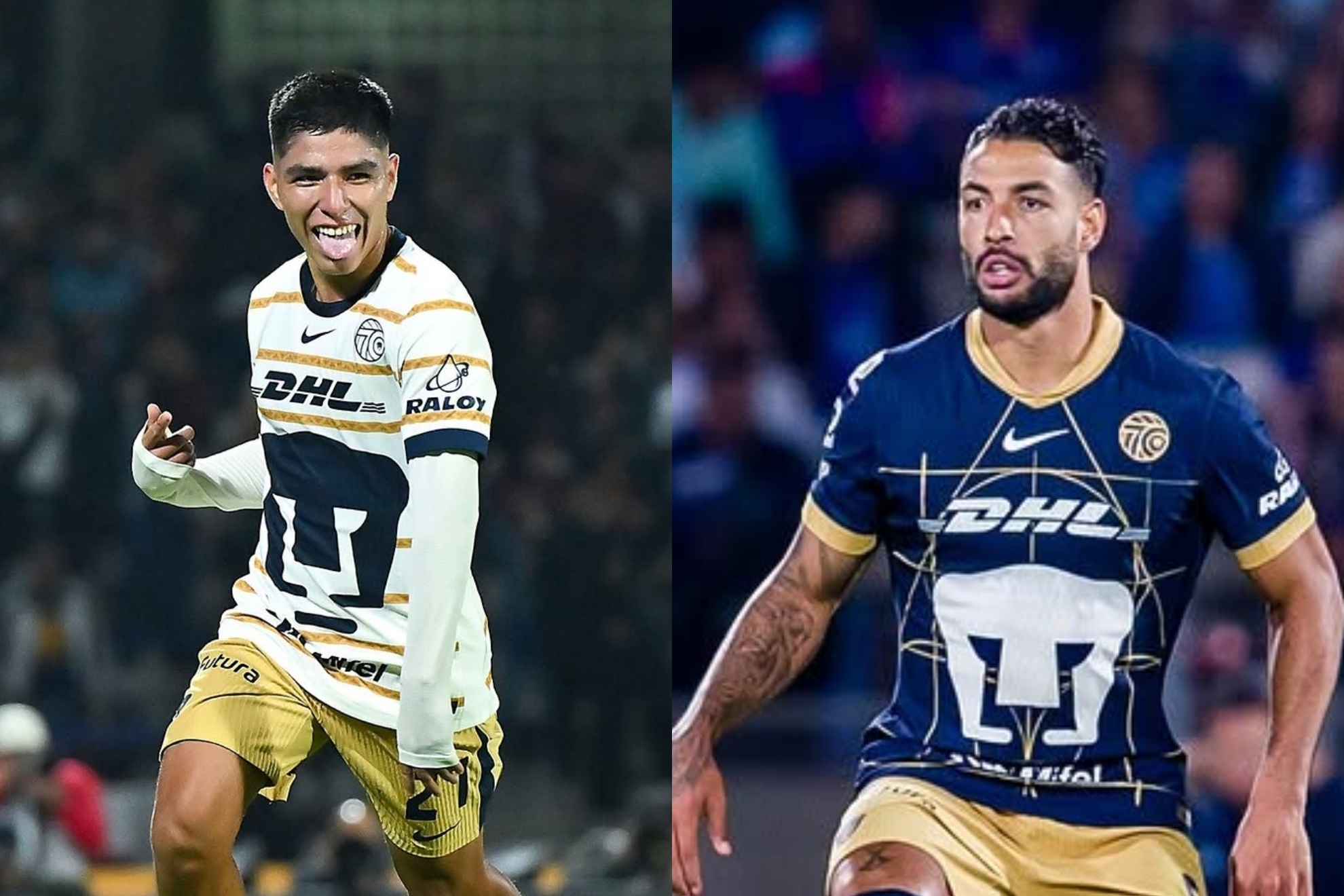 Pumas