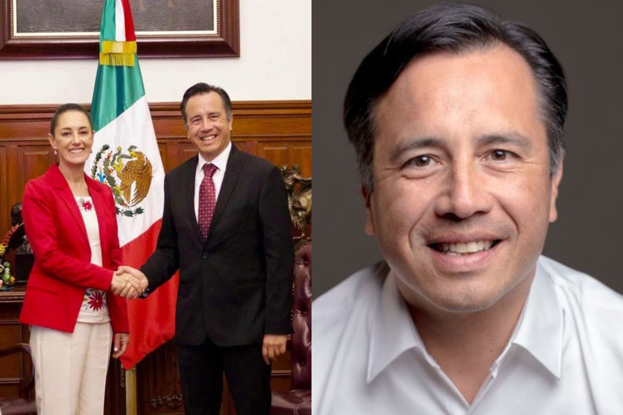 Será director de CENAGAS