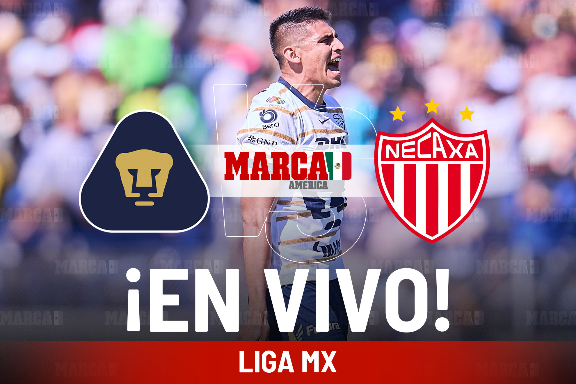 pumas necaxa
