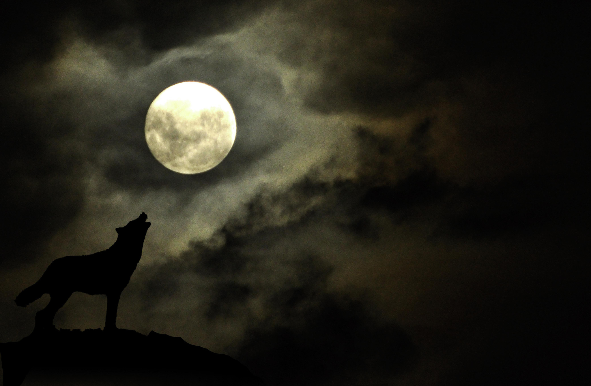 La Luna de lobo es un evento esperado por miles de norteamericanos. Foto: Marca   