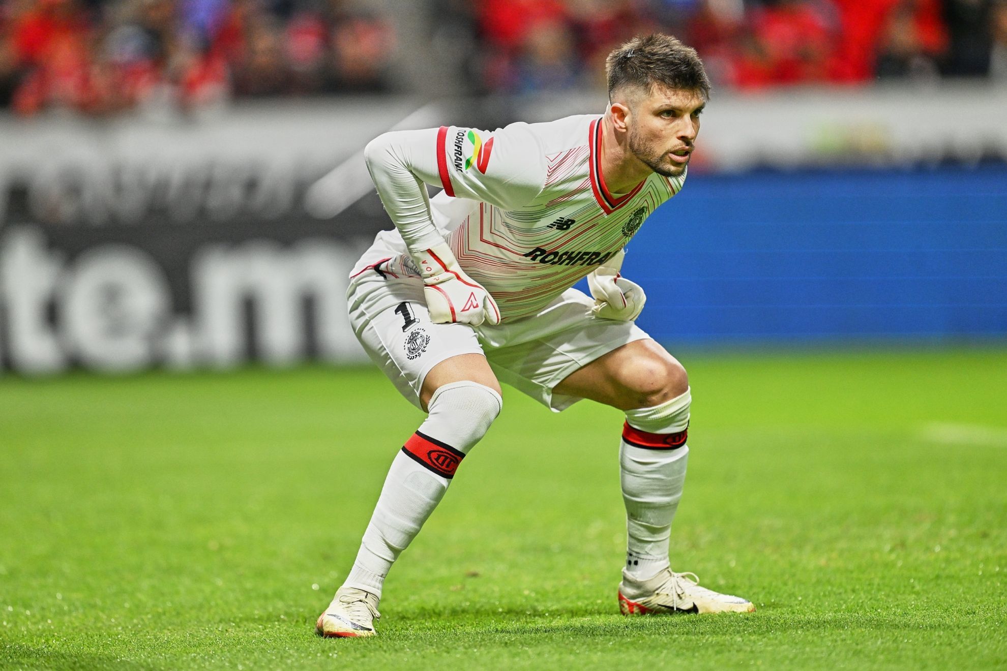 Tiago Volpi