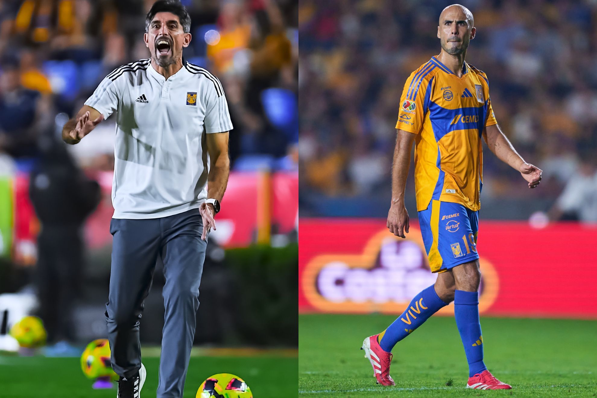 Noticias Club Tigres UANL hoy - MARCA México