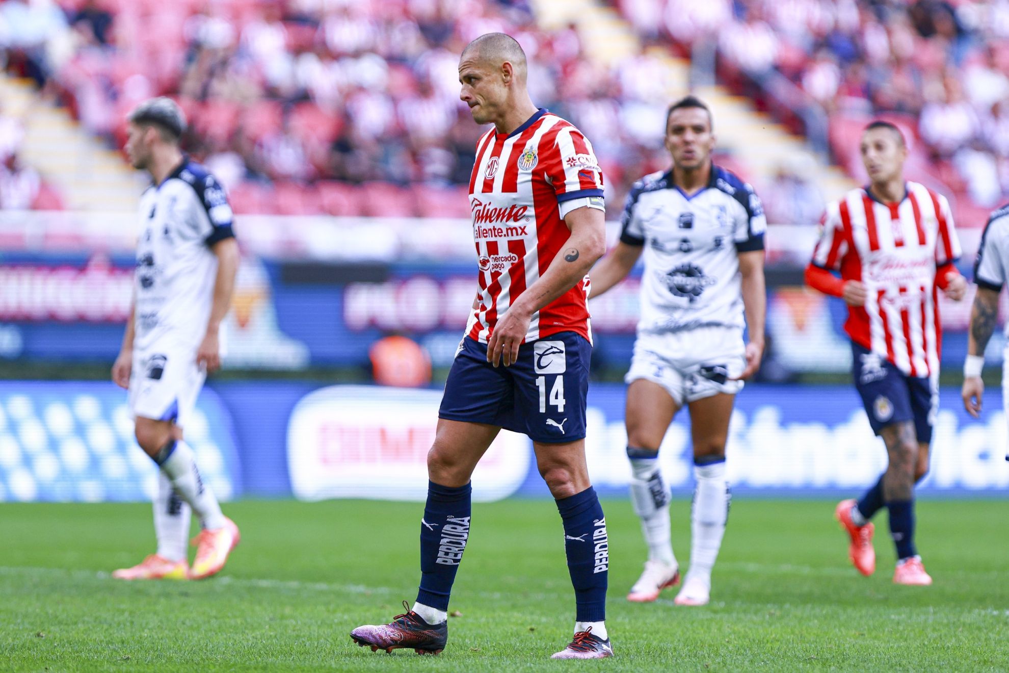 Chicharito Hernández