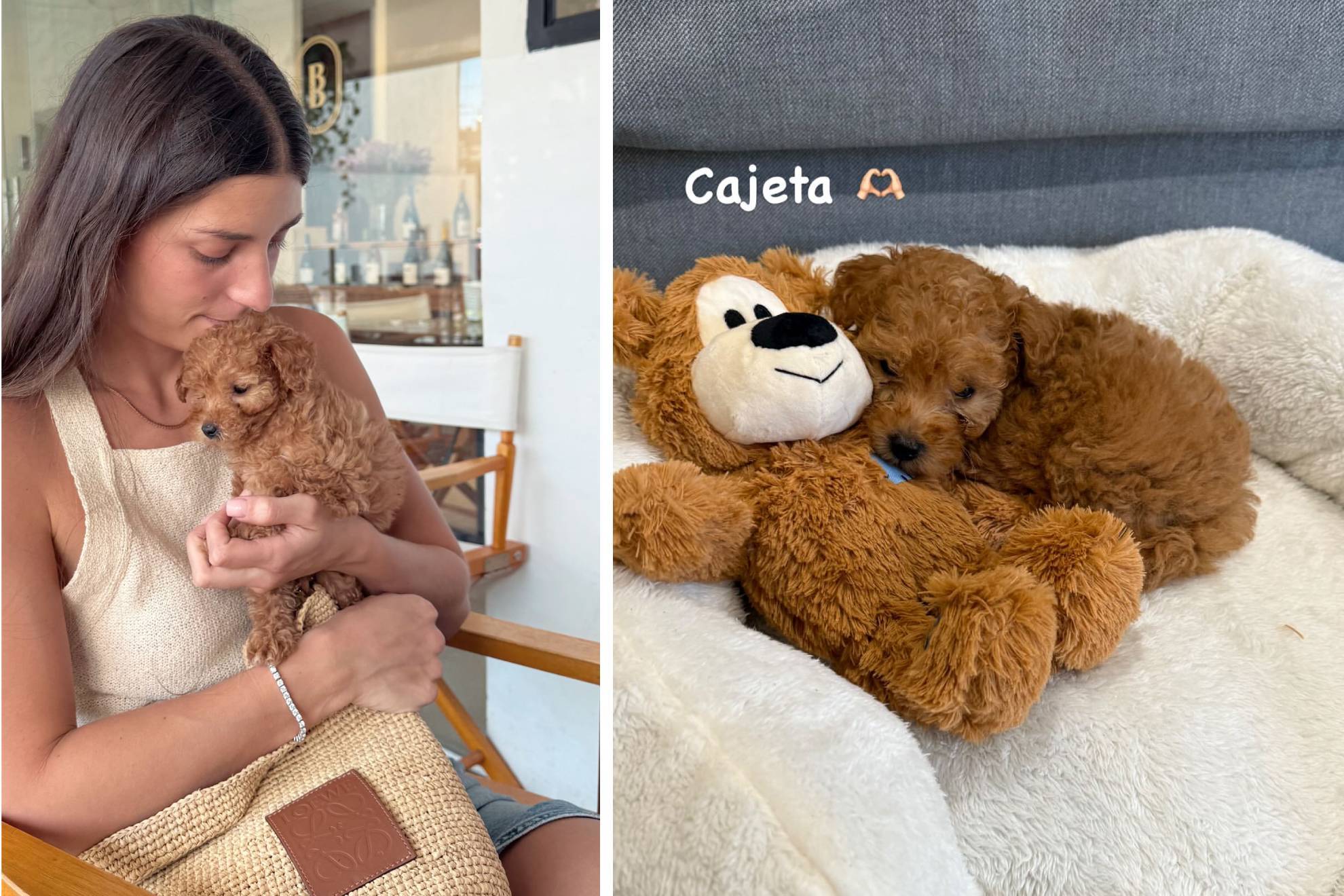 Carola Martínez presentó a 'Cajeta', el nuevo miembro de la familia de Checo Pérez