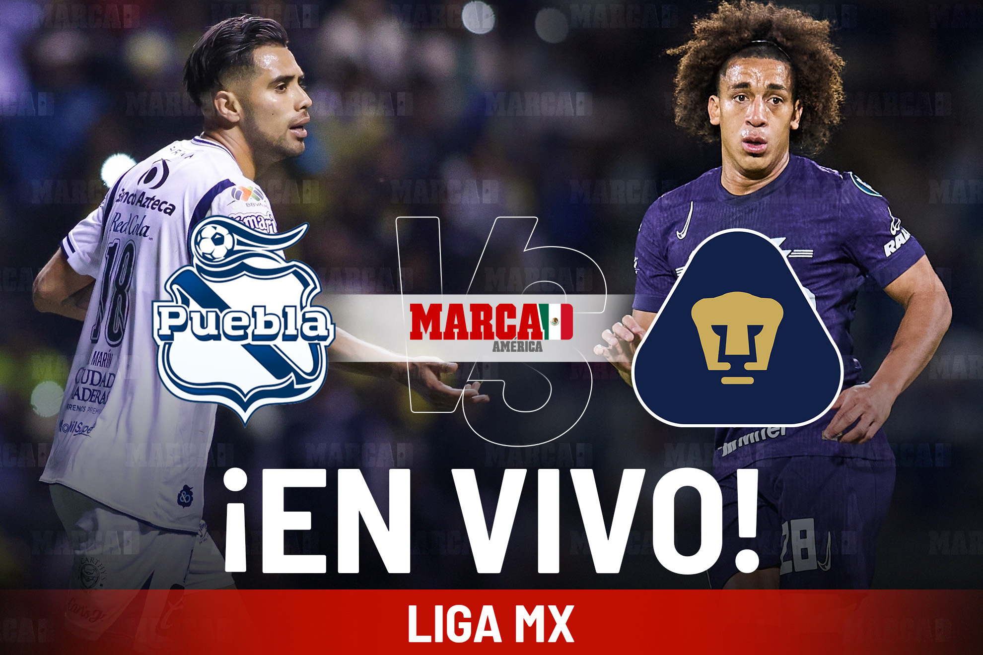 puebla pumas