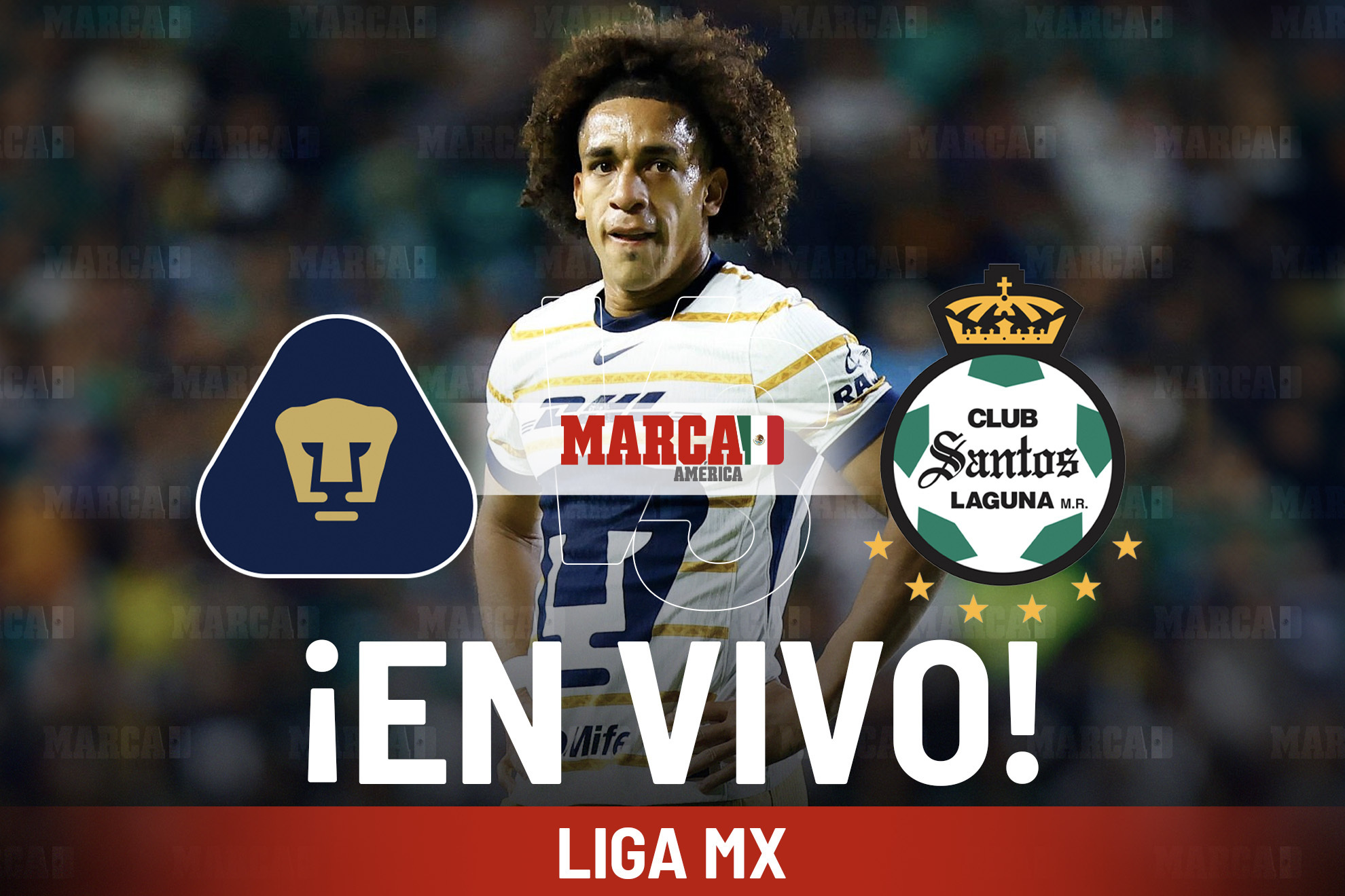 santos pumas