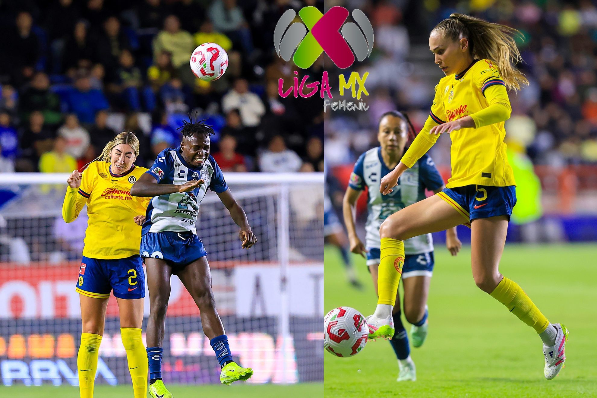 Liga MX Femenil - Últimas noticias en MARCA México