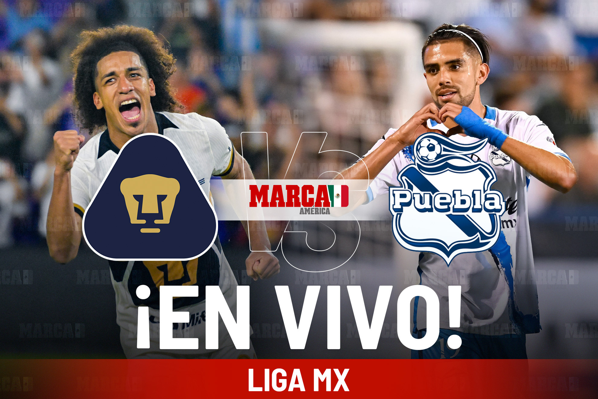partido pumas